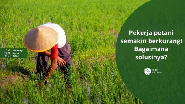 gambar solusi pekerja petani berkurang